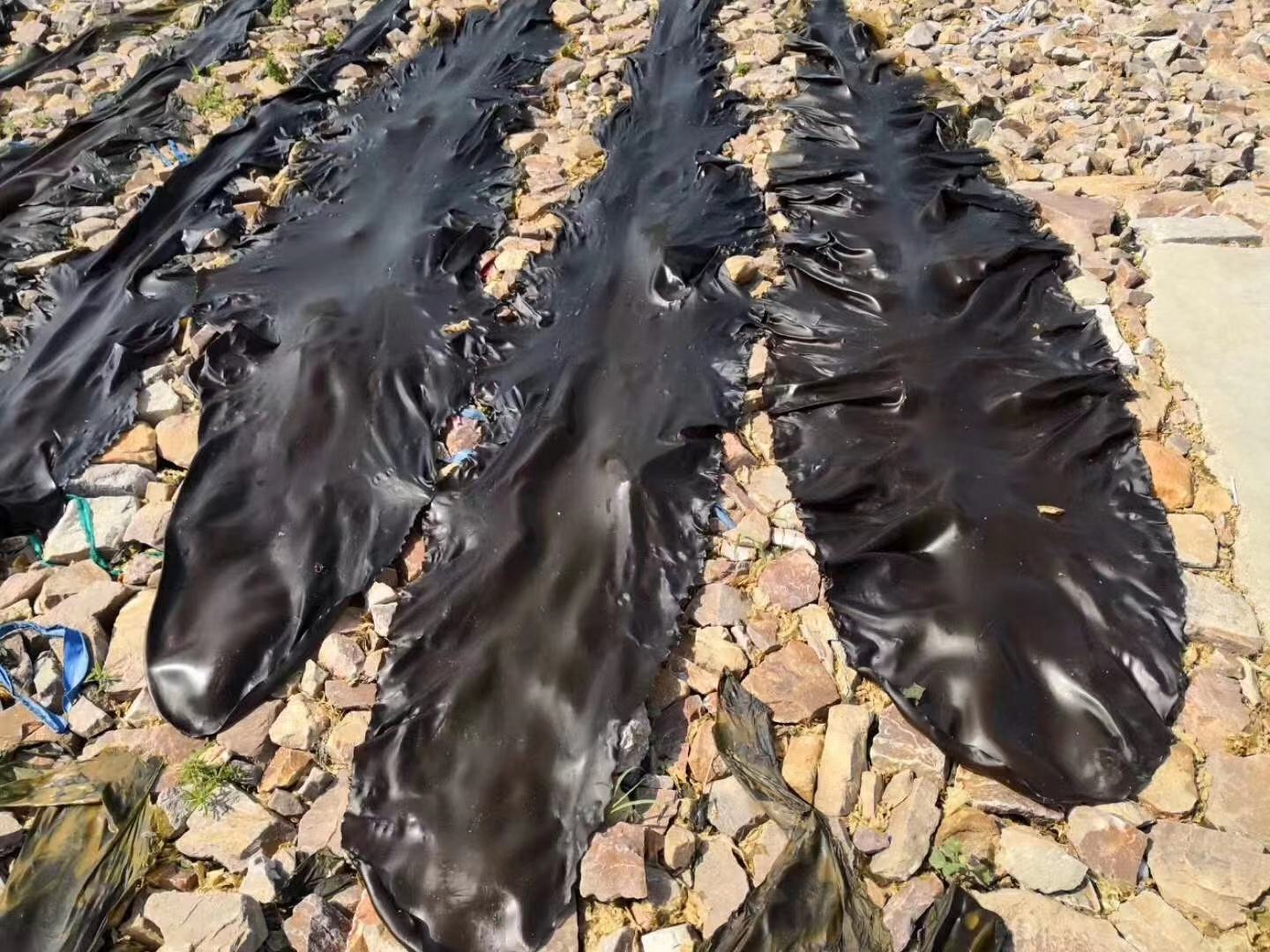 干海带正确储存方式示意图