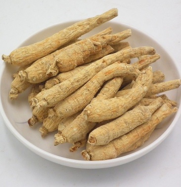 花旗参美国进口半野生花旗参圆丛颗粒花旗参整枝可代