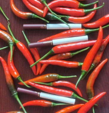 [鲜辣椒批发]天等指天椒价格1.60元/斤 - 一亩田