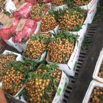 黄皮果，品种黑金刚，家里大量上市地址浦北县白石水镇