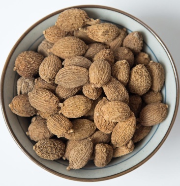 砂仁500g沙仁毛砂仁特产农家无硫黑砂仁广东砂仁卤