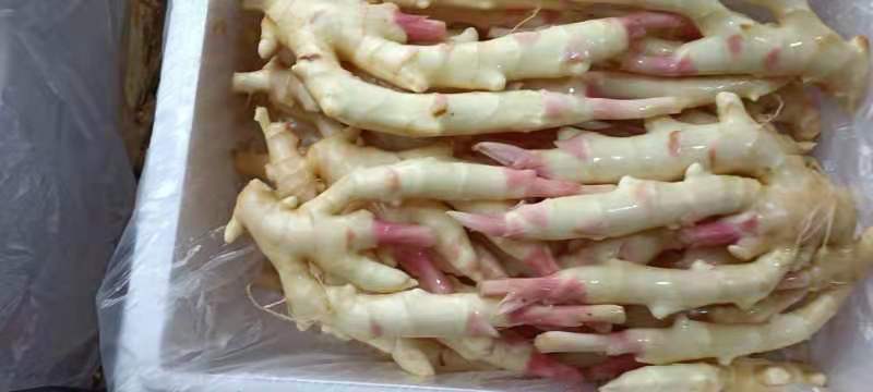 展示新鲜子姜切片、加红糖煮制的过程,背景为厨房操作台 子姜糖水制作过程