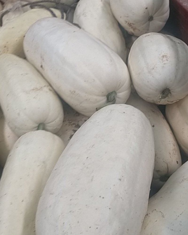 白南瓜