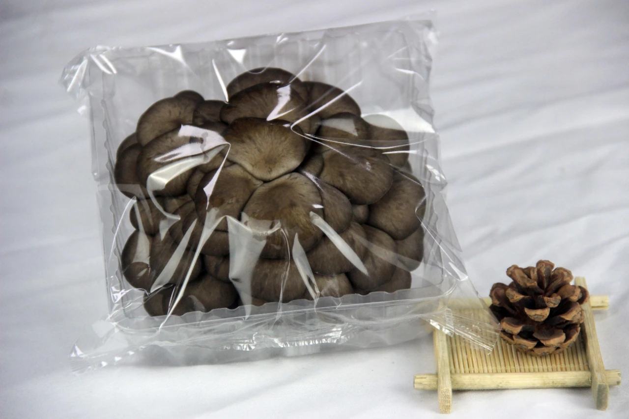 平菇菌种包装与标签细节