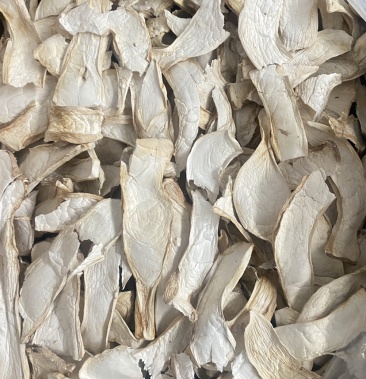 杏鲍菇干杏鲍菇片根片过筛货干净没有杂志