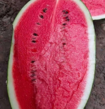 湖北绿爽绿裳西瓜,8斤打底,糖分14/16