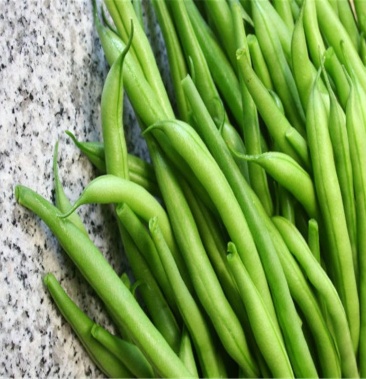 四季豆新鲜小金豆云南批发一件代发