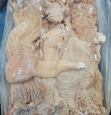 牛肠头大肠头牛碗口一手货源量大从优