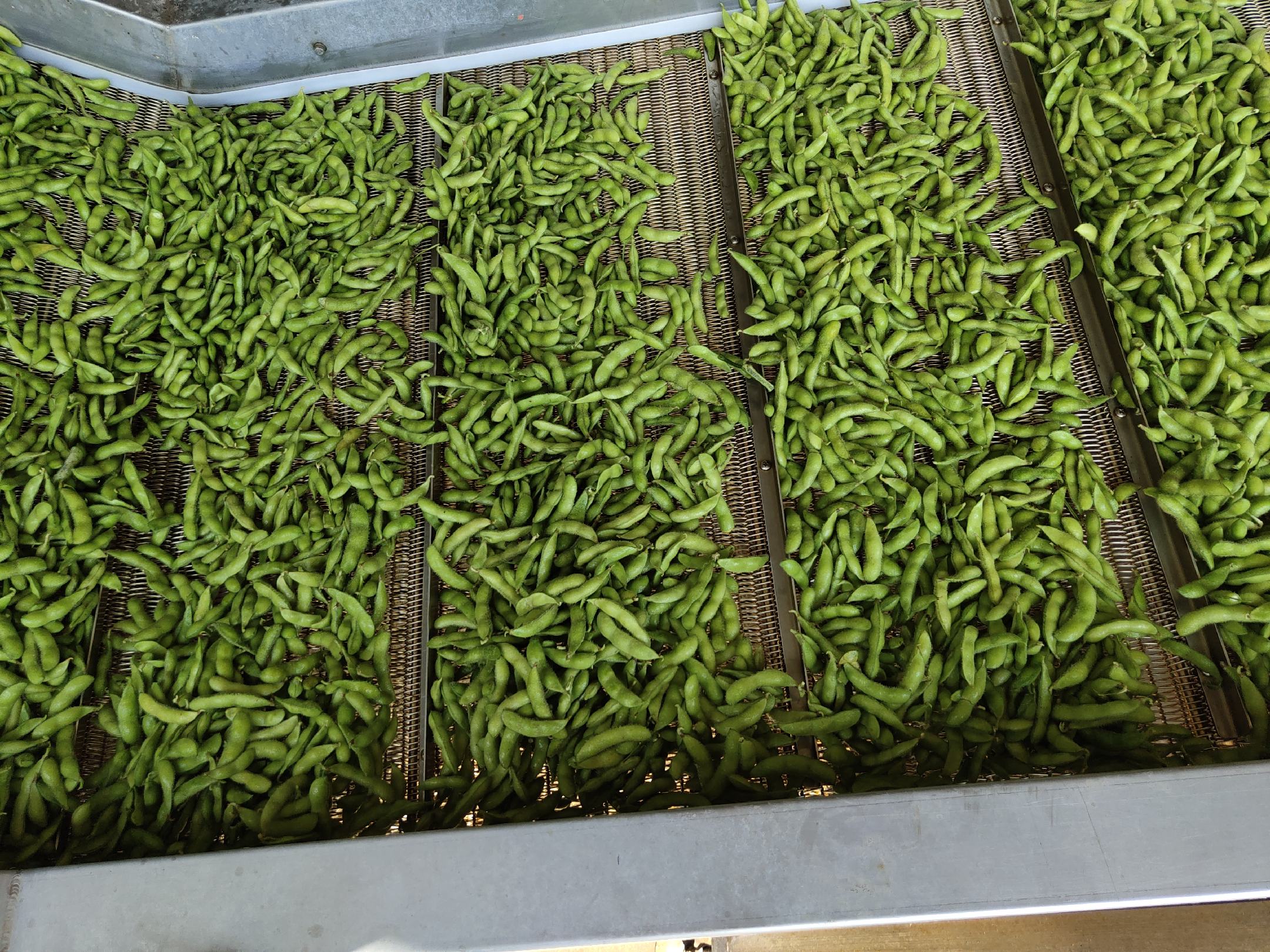 丰豆30号加工成品展示，包括豆制品、豆油和蛋白粉等产品