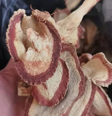 泰国野生红葛根 艳紫铆 红野葛根大货批发 量大从优