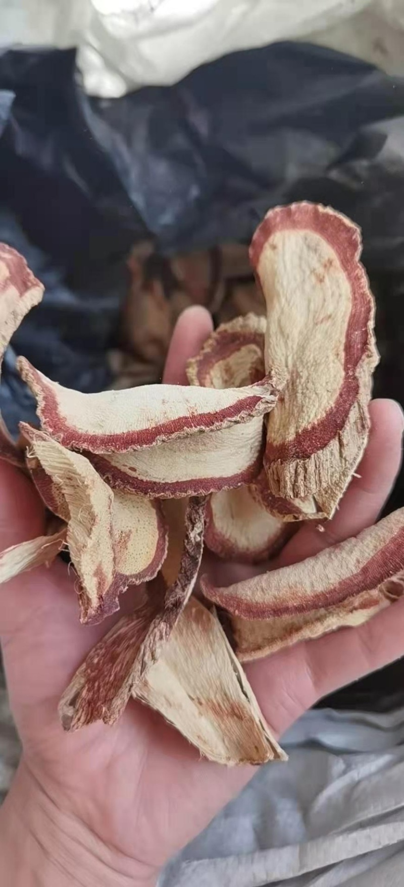 泰国野生红葛根艳紫铆红野葛根大货批发量大从优