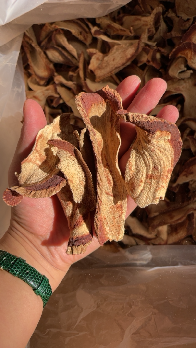 泰国野生红葛根艳紫铆红野葛根大货批发量大从优