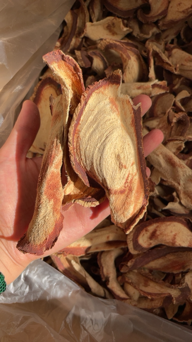 泰国野生红葛根艳紫铆红野葛根大货批发量大从优