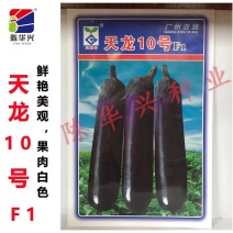 天龙10号茄子种子烧烤茄子种子亚蔬园茄子种子