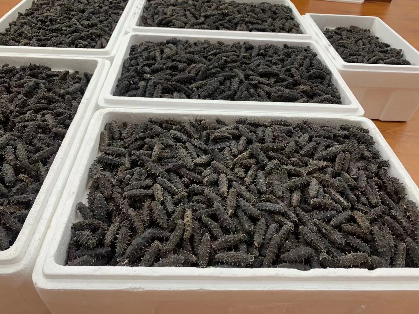 农贸市场的一个摊位上,整齐排列着多个透明包装袋,分别标注‘山东产’、‘辽宁产’、‘福建霞浦’、‘韩国进口’等字样,消费者正在对比挑选,背景可见其他海鲜干货 干海带的产地在哪里:市场摊位上摆放的不同产地干海带对比展示