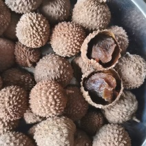桂味荔枝干，急需处理500斤左右库存当季荔枝干