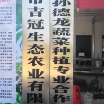 湖北翠冠梨