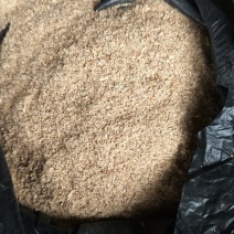 正品保障稻壳粉长期供货诚信经营