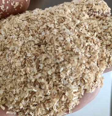 麸皮继续稳价五得利金沙河华龙