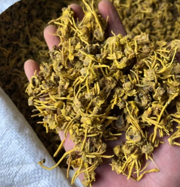 草根茶夏季散装黄龙草根茶江湖地摊热卖货源散装批发