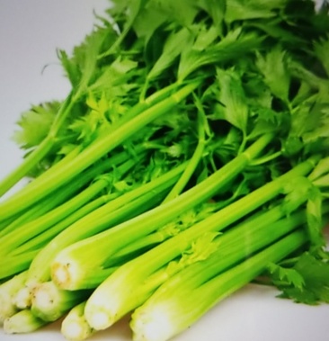 [西芹批发]三亩地的西芹菜,找收购商,有意者联系价格0.