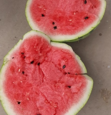 西瓜,精品微盟无籽美都西瓜,薄皮红瓤口感甘甜