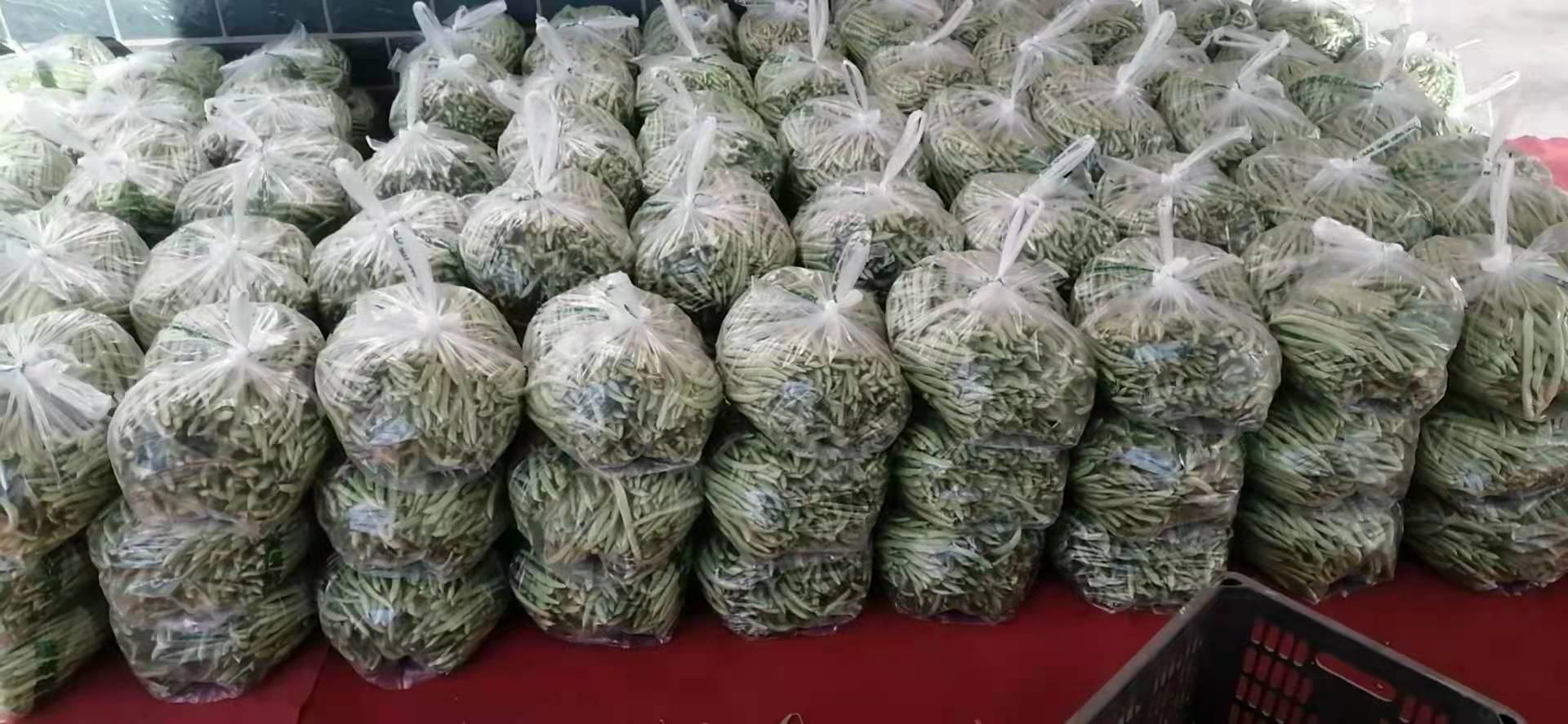 现代流通场景中的巨型四季豆商品化呈现:体现其作为高端蔬菜品类的标准化包装、明确规格标注与品质溯源信息,呼应消费者对‘特别大的四季豆叫什么’的实际认知需求 超市冷柜特写:透明保鲜盒内整齐码放带蒂新鲜巨型四季豆,标签清晰印有“巨无霸四季豆|荚长≥32cm|当日采摘”,背景可见超市生鲜区灯光与“有机认证”标识牌