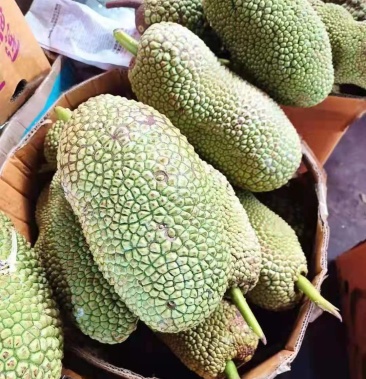 越南榴莲蜜,果型大小均匀,有需要的抓紧联系我类目:榴莲