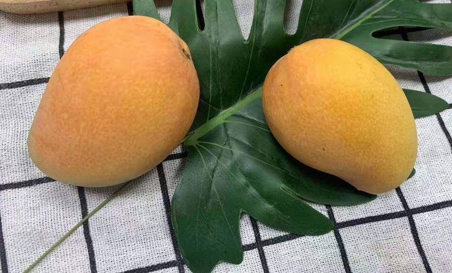 一个完整的成熟大台芒放置在木质背景上,果皮呈亮黄色并带有自然红晕;旁边摆放着被纵向剖开的大台芒,露出金黄色无纤维的果肉,刀具轻触果肉展示其细腻质地,背景有轻微水珠反光,体现新鲜多汁感 大台芒整果与切面特写