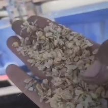 黄豆皮