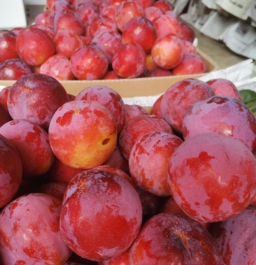 [李子批发]红玫瑰李价格7.00元/斤 - 一亩田