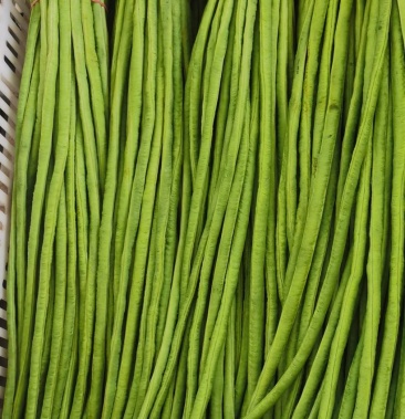 [豆角批发]青条长豆角 精品豇豆,长度60～细条产地代发全国各地.价格1