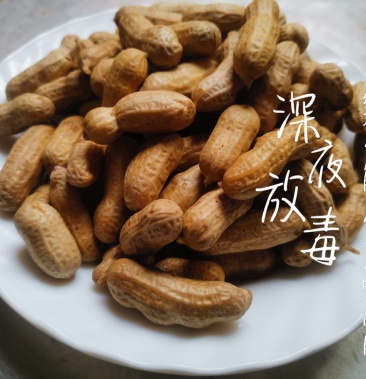 水煮花生盐水花生熟盐水花生熟东北四粒红炒熟花生