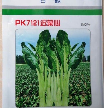 [批发]原装进口宁夏迟菜心合欢pk7121种子亩产量过万斤价格600.