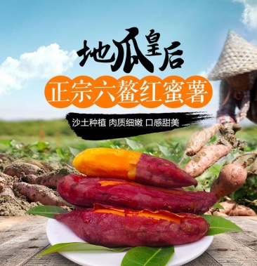 正宗六鳌蜜薯沙地蜜薯西瓜红红薯基地直供一件代发