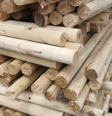 [杨树原木批发]杨木棒价格12.00元/棵 - 一亩田