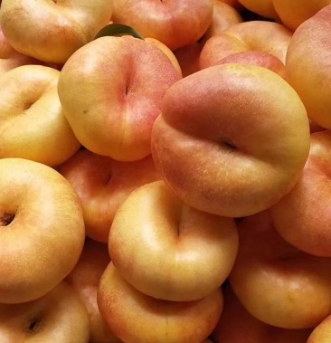 黄金油蟠桃黄油蟠桃黄色肉无毛扁桃子