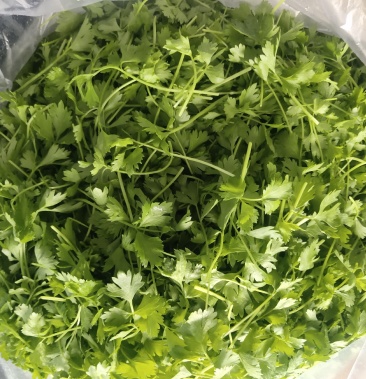 三叶香小香芹新鲜香芹