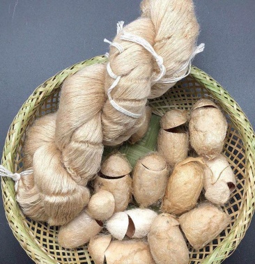 [茧蛹批发]辽宁柞蚕丝价格30.00元/斤 - 一亩田