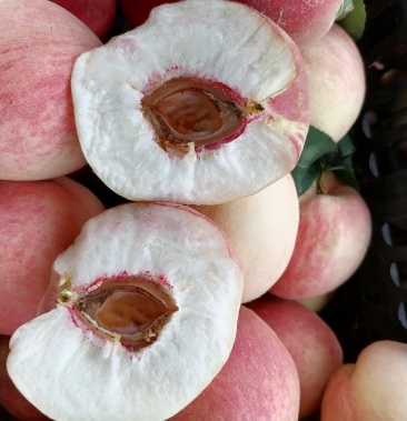 水晶桃清脆甘甜利谷耐运输