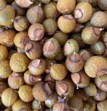 [中药无患子批发]无患子,两斤起发货,支持线上交易,量大从优价格3.