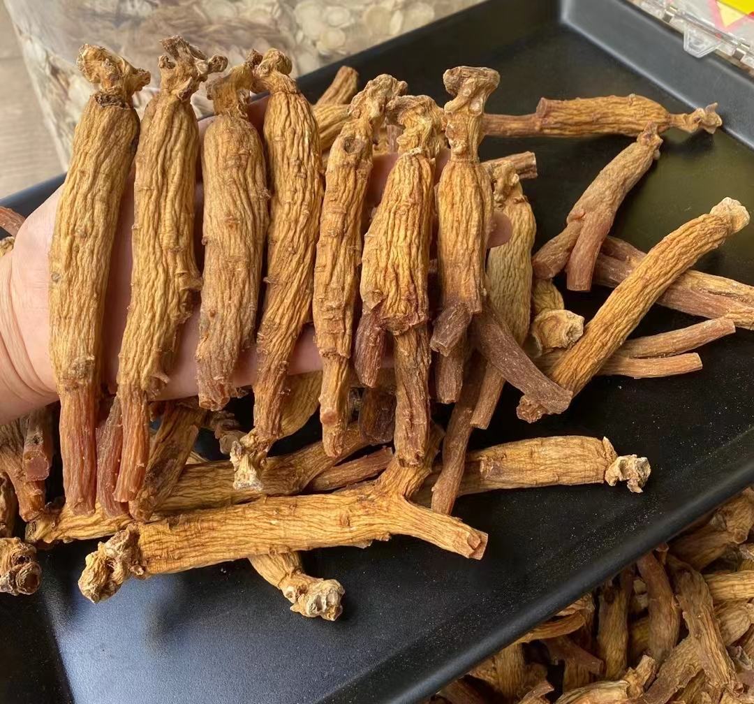 高丽参与西洋参加工方式对比