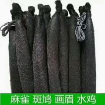 鸟网防斑鸠鸽子麻雀画眉防鸟网，防护网