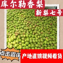 香梨新梨七号梨口感脆甜颜色鲜艳皮薄肉厚汁多可口