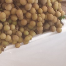 高州特产