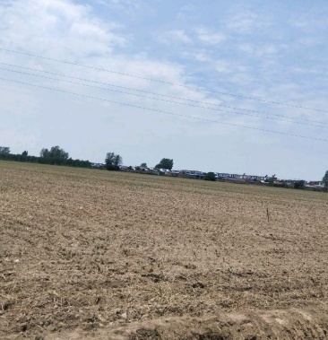 00元/亩 - 一亩田