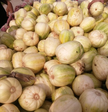 本地好香瓜个大口感甜