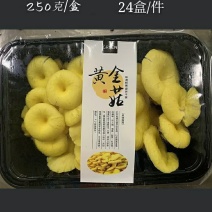 黄金菇，鸡油黄菇，榆黄菇