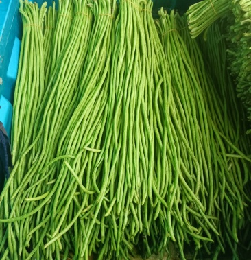 [豆角批发]山东兰陵精品青豆角,产地供应,一手货源,保质保量,价格1.00