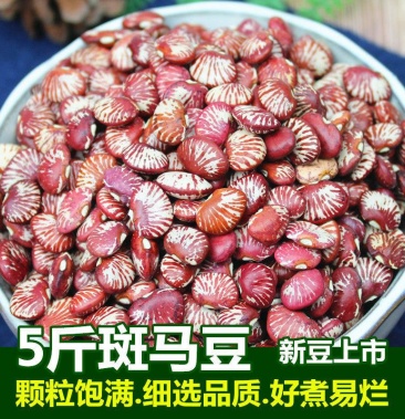 【新货斑马豆】肾豆扇贝豆农家红花豆小扁豆花菜豆长寿豆包邮